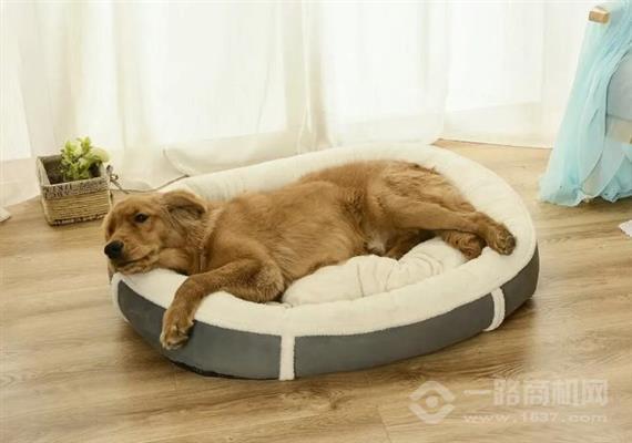 宠贝贝宠物用品