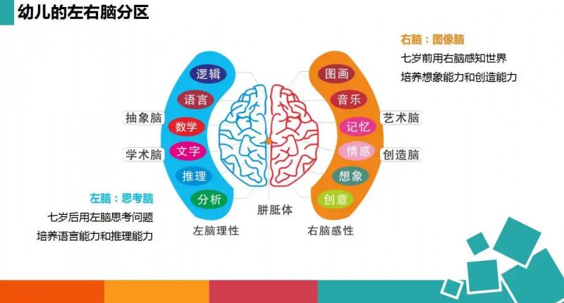 哲思憶啟學全腦開發