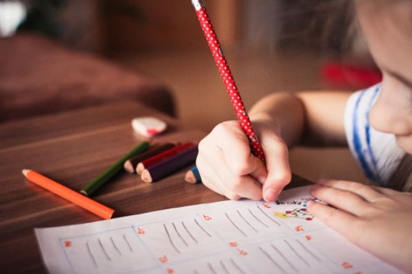 华师良树早教加盟 华师良树早教加盟