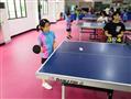 朝一阳乒乓球培训