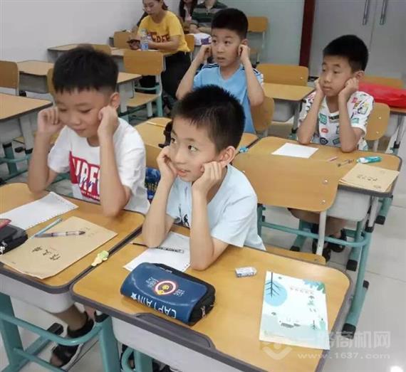 皮皮鲁作文培训