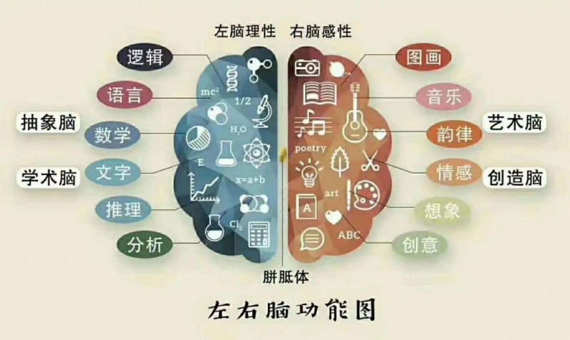 哲思忆启学全脑开发加盟