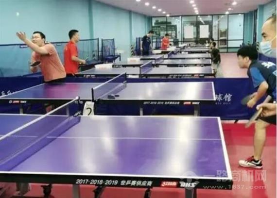 博贝乒乓球