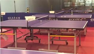 博貝乒乓球