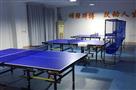 博贝乒乓球