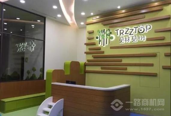 见林见树国际早教中心