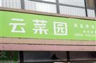 云菜园