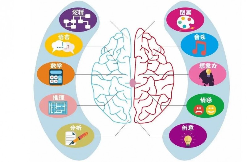 腦星人全腦教育加盟
