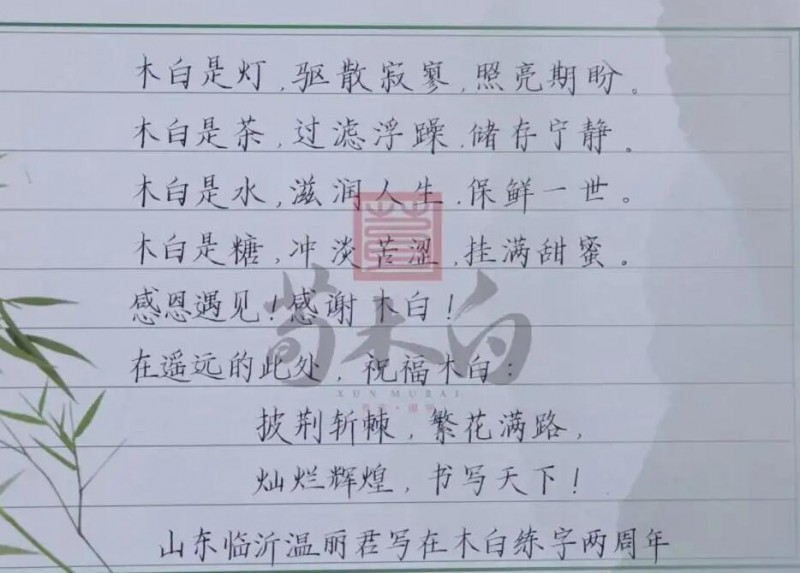 荀木白书法练字