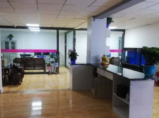 地推项目服务商