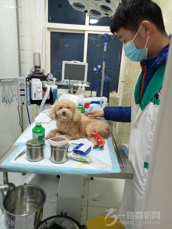 汤姆狗宠物医院加盟连锁