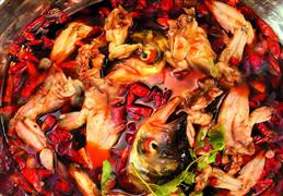 青禾美蛙魚頭火鍋