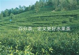 百分茶