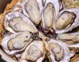 蚝魁竹笼蒸生蚝