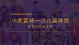 小虎篮球