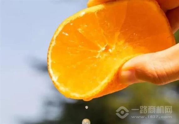 5个橙子自动榨汁贩卖机