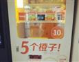 5个橙子自动榨汁贩卖机