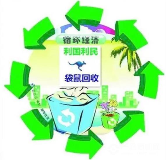 袋鼠回收