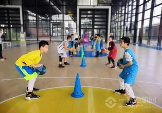 豪群联盟篮球青训