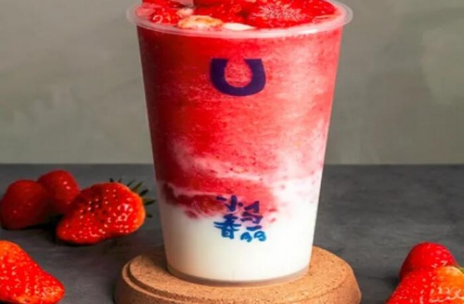 小马春丽奶茶加盟 小马春丽奶茶加盟