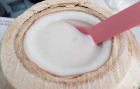 贝乐椰椰子冻