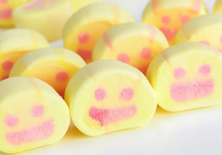 春之花休闲零食 春之花休闲零食