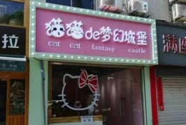 猫猫的梦幻城堡