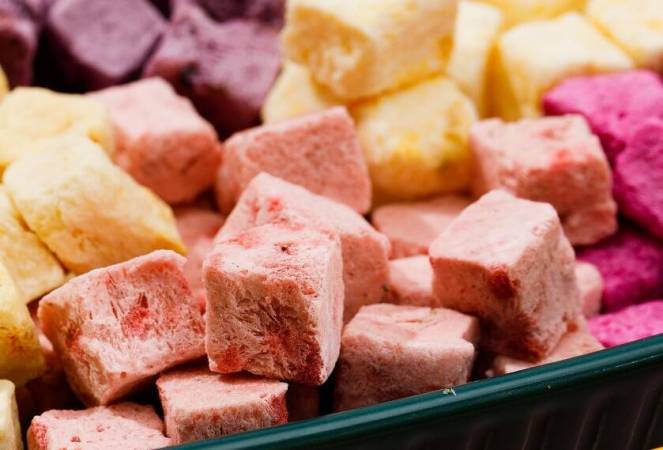 蔬婆婆食蔬果干