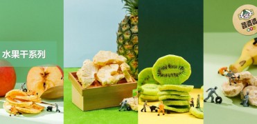 蔬婆婆食蔬果干