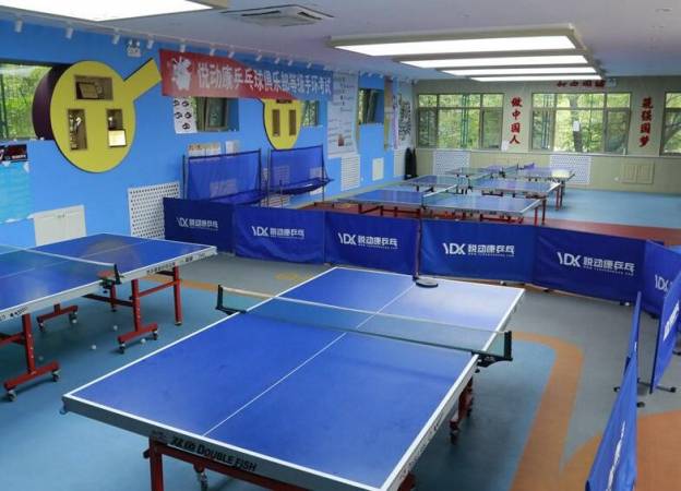 悦动康乒乓球