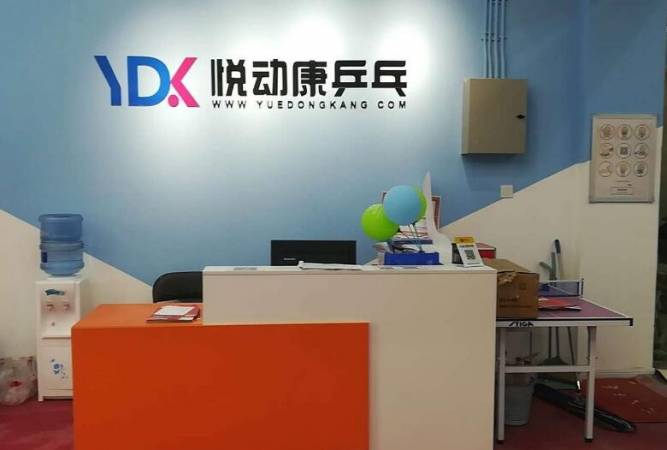 悦动康乒乓球