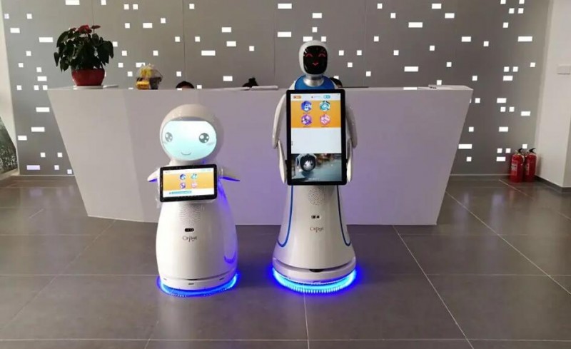 罗布乐思3D少儿编程加盟