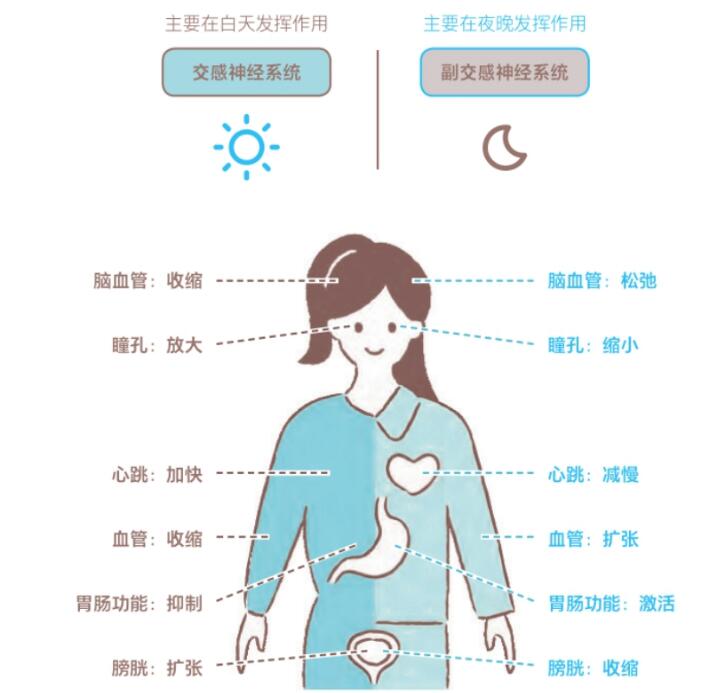 视立美视力健康管理机构