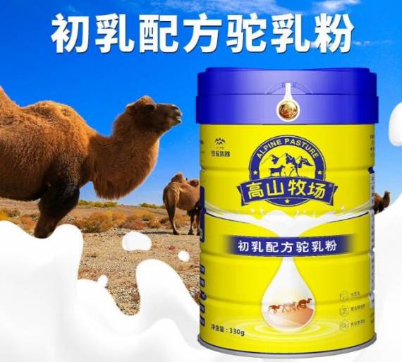 高山牧场骆驼奶