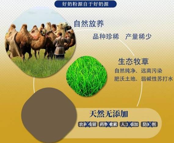 西域总督骆驼奶粉