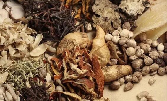 白发一族 白发一族