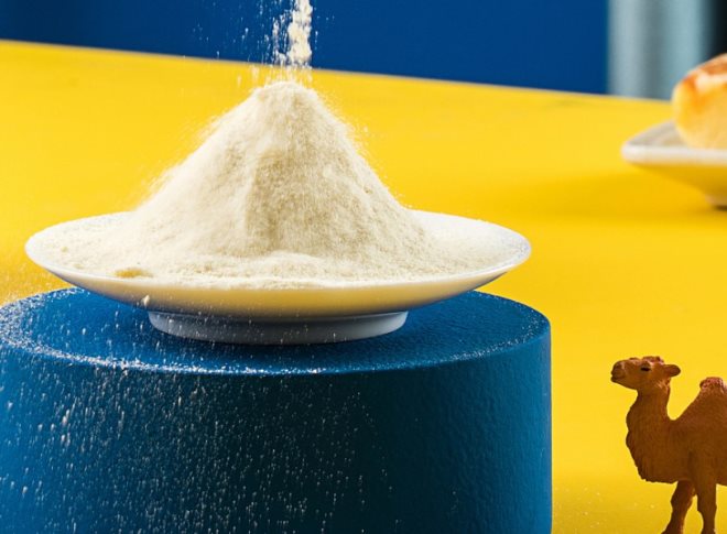 新疆驼奶粉厂家 新疆驼奶粉厂家