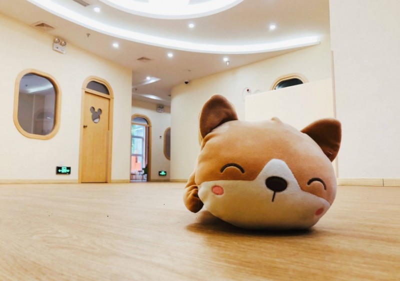 天天小象托育早教