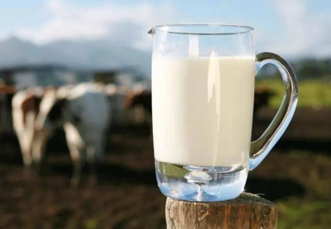 羊奶加盟 羊奶加盟