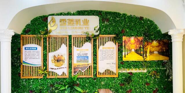 驼牧尔新疆骆驼奶粉