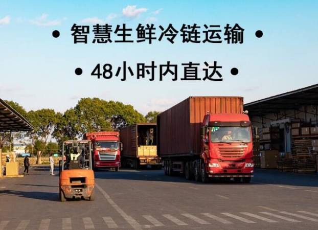 果小悦