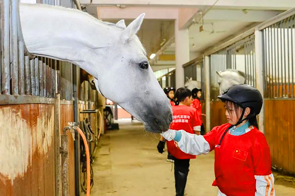 修而远体育夏令营