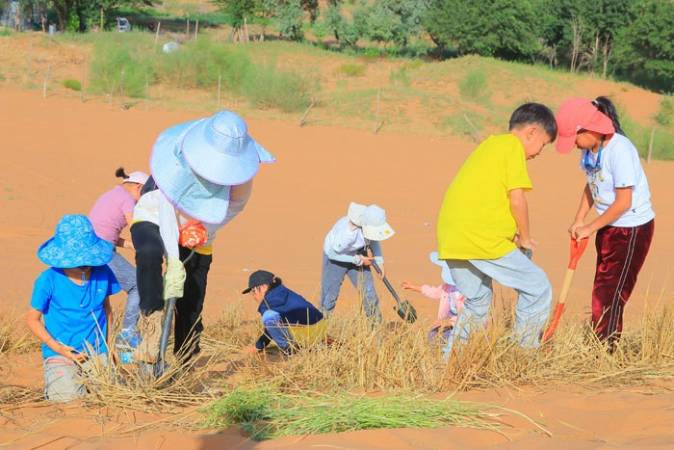 大漠征途夏令营