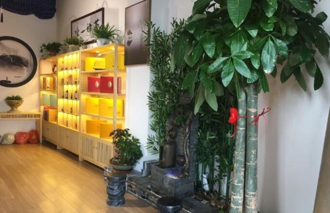 茶叶专卖店