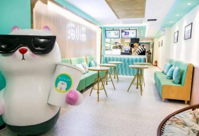 猫小森奶茶