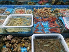 泊来鲜