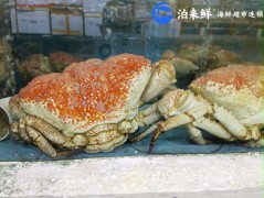 泊来鲜