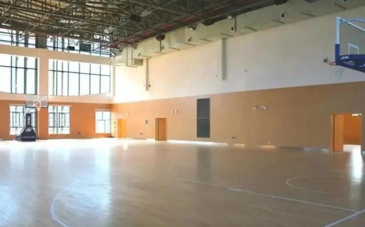 李嘉恒籃球 李嘉恒籃球