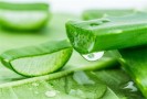 芦荟美容