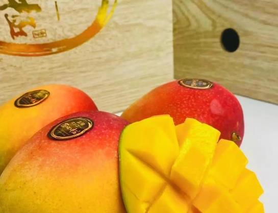 匠心极水果 匠心极水果